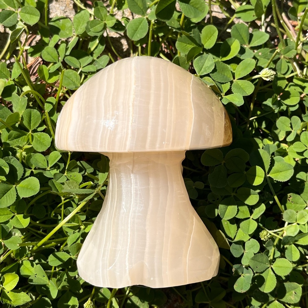Onyx Mushroom Carving